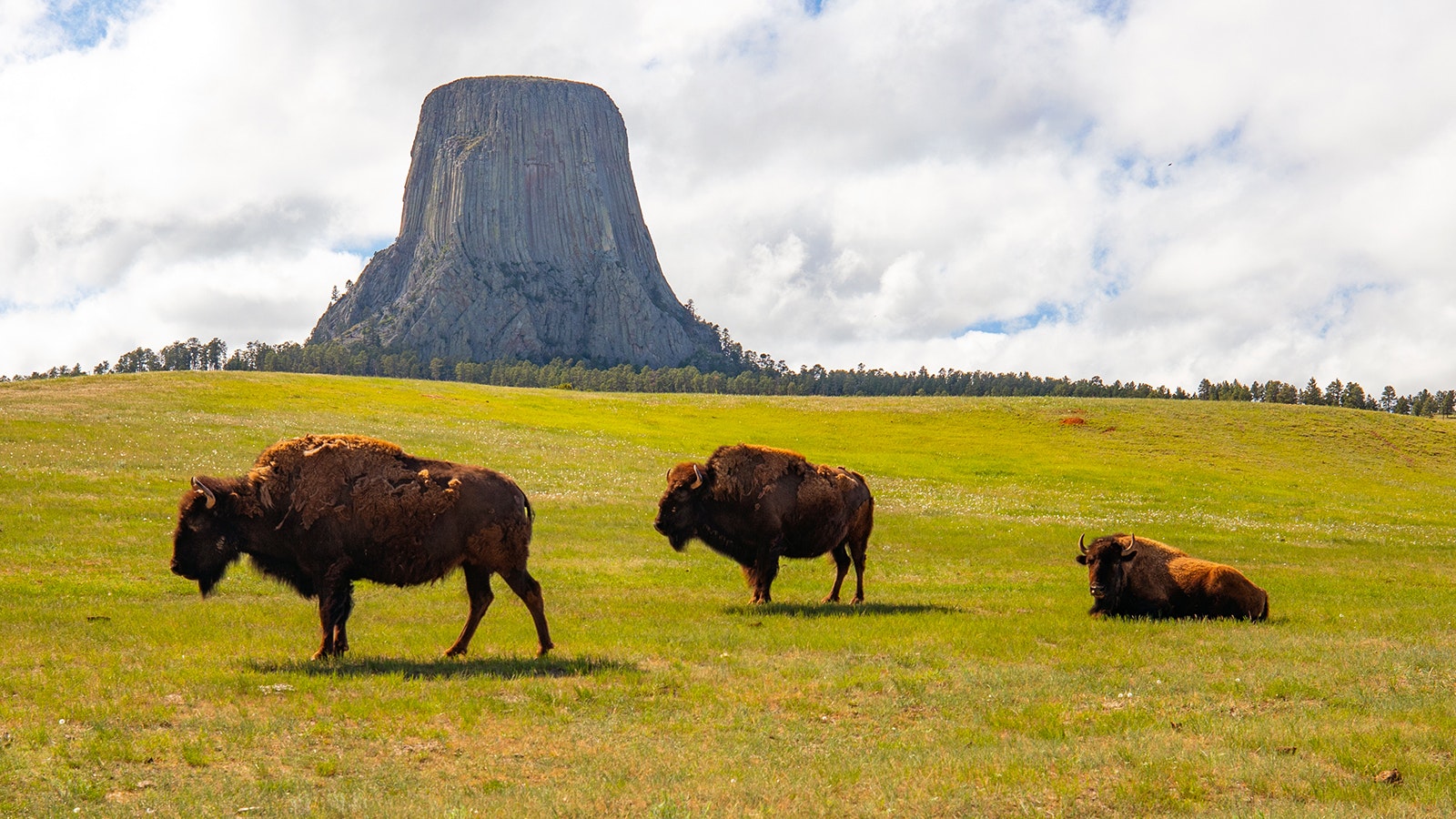 Devils Tower is America's first national monument and arguably the most recognizable Wyoming landmark.