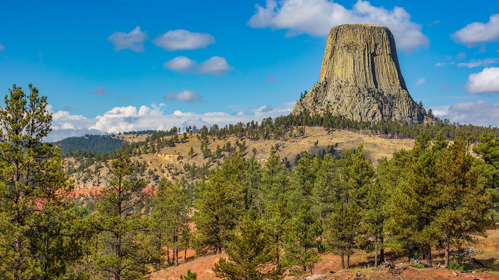 The land surrounding Devils Tower in Crook County has been in the Driskill family for generations.