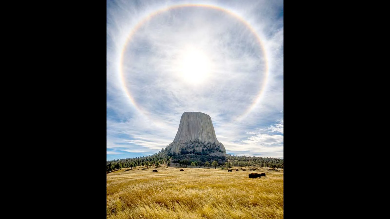 A lucky photographer got a once-in-a-lifetime shot of a solar halo over Devils Tower on Wednesday. “It’s a spectacular picture,” said meteorologist Don Day. “Those are the perfect clouds at the right altitude at the right sun angle."