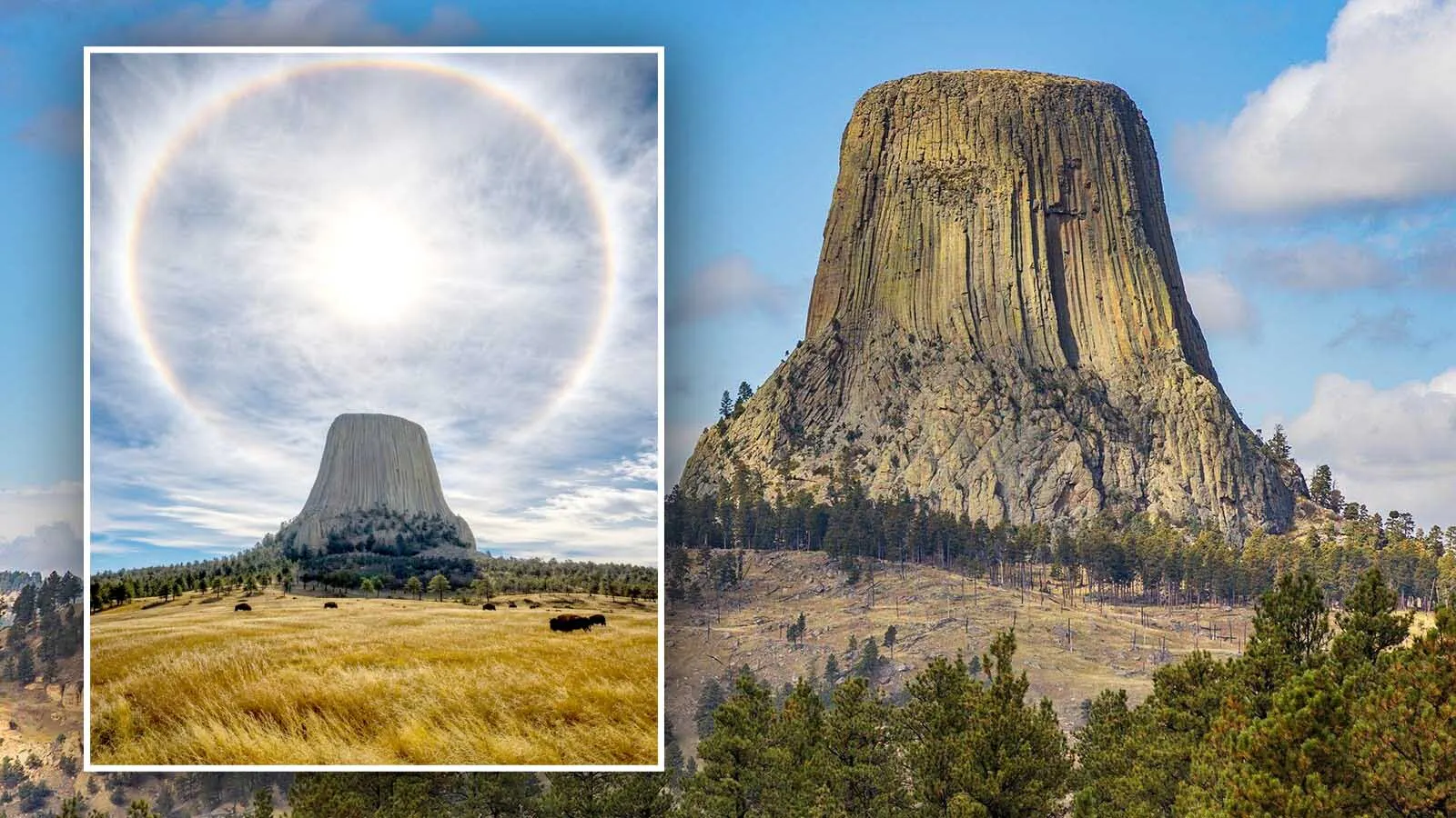 A lucky photographer got a once-in-a-lifetime shot of a solar halo over Devils Tower on Wednesday. “It’s a spectacular picture,” said meteorologist Don Day. “Those are the perfect clouds at the right altitude at the right sun angle."