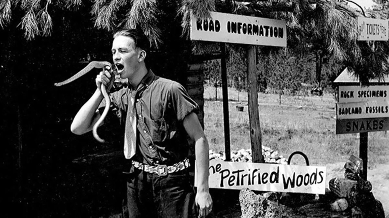 Entrepreneur Earl Brockelsby of Rapid City with a snake. He made the bet with George Hopkins about parachuting onto the top of Devils Tower.