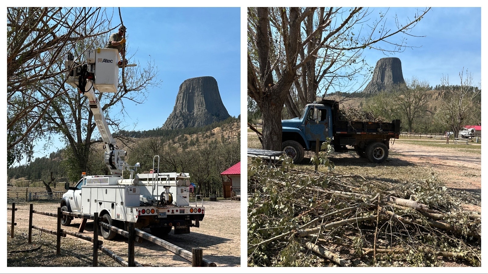 Cleanup continues after a devasting hailstorm that dropped baseball-sized stones at Devils Tower and closed the monument. At the KOA campground near the base of the tower, they've been repairing damage and clearing away more than 200 trees that were downed by the storm.