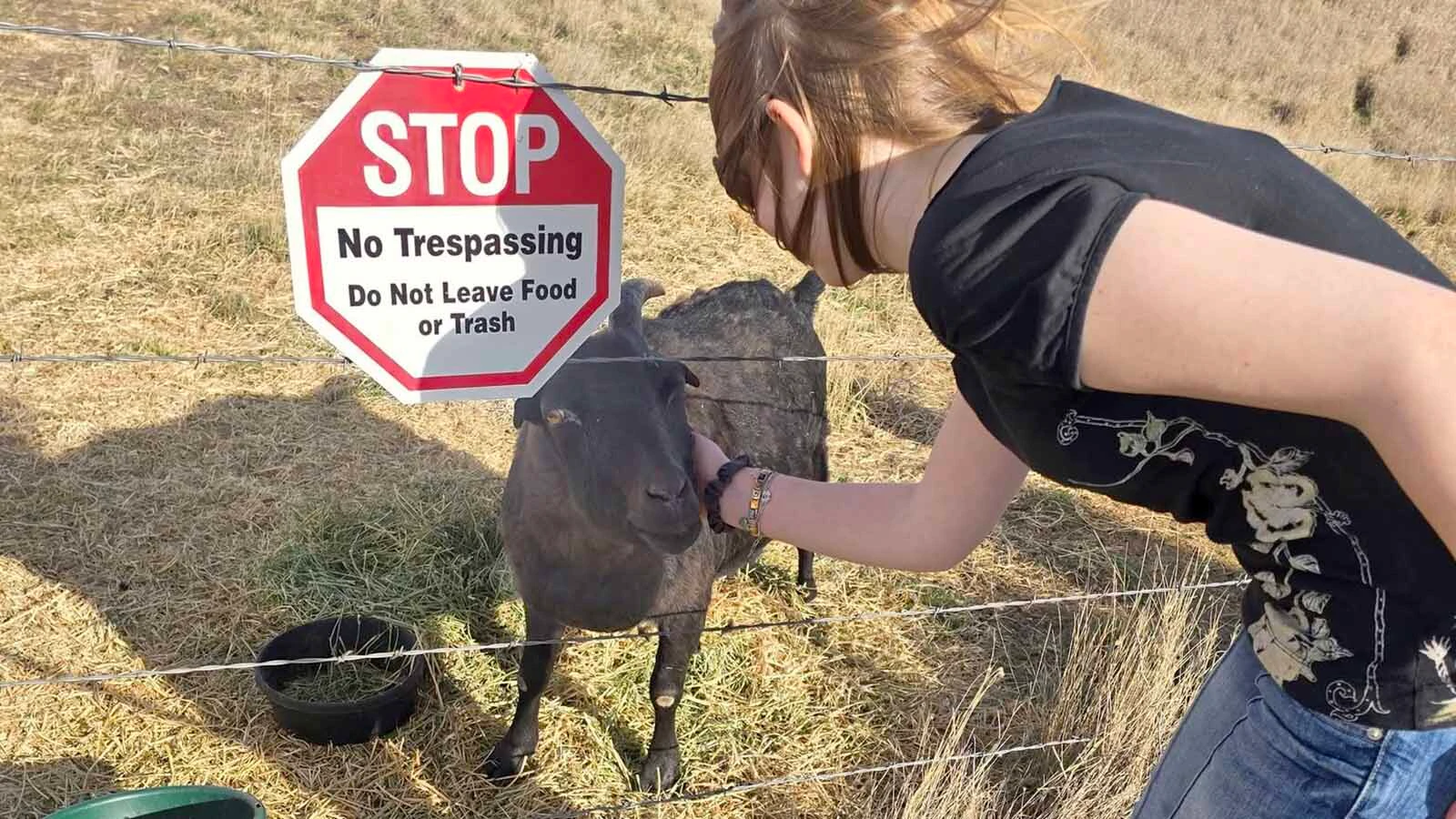 Diablo, a goat that lives on the grounds of the Wyodak Power Plant near Gillette, has become a local celebrity. People stop on the road to give him scratches and snacks — although that's discouraged as the unofficial mascot people call "Goatalope" grows older and fatter.
