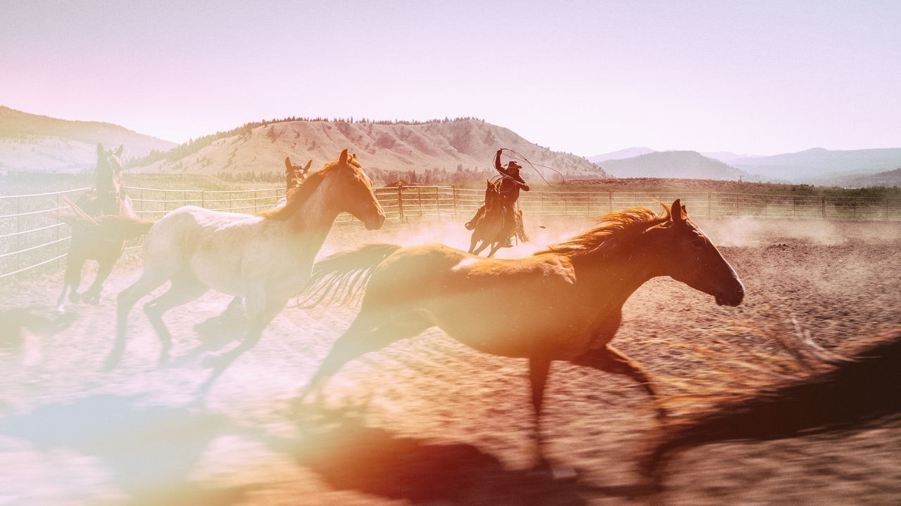 A Wyoming family shares an inside view of their struggles to ranch in pricey Jackson Hole and pass their ranch on to the next generation. It’s part of a new eight-part Cowboy Channel documentary that started Sunday.