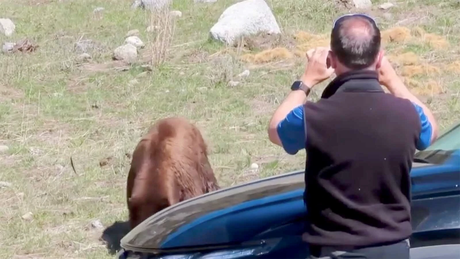 A day after two brothers were mauled by a grizzly in Yellowstone, a dimwitted tourist was spotted five feet from a bear taking video on his phone. Retired biologist Gary Gaston said the scene was “so absurd” he had to leave.