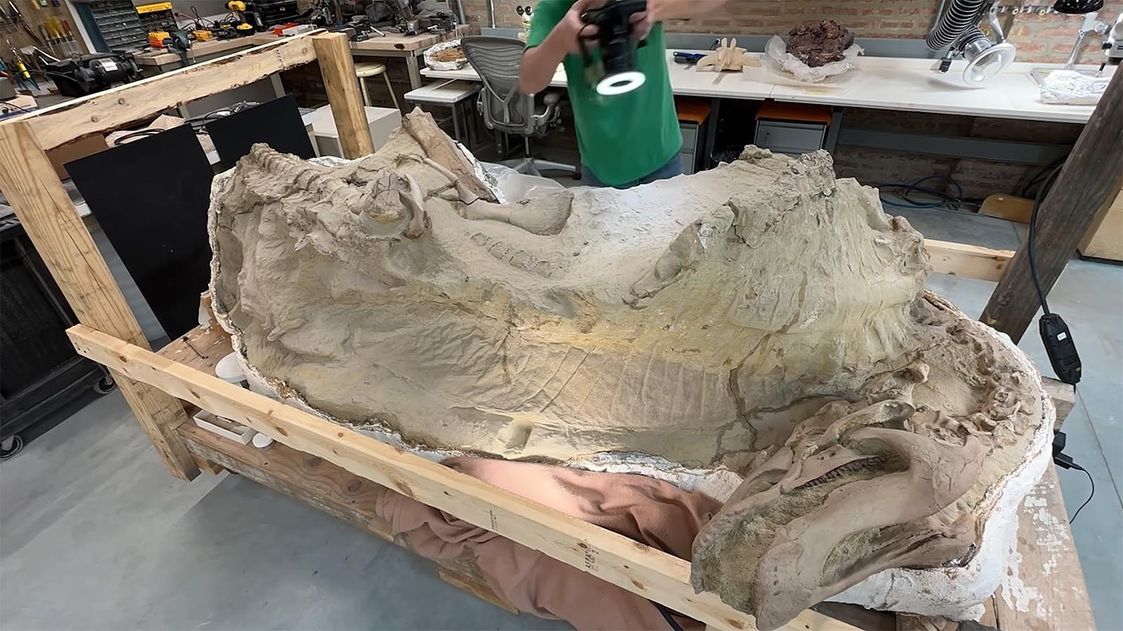 Newly Designated Wyoming Dinosaur ‘Mummy Zone’ Could Hold A Perfect T. Rex