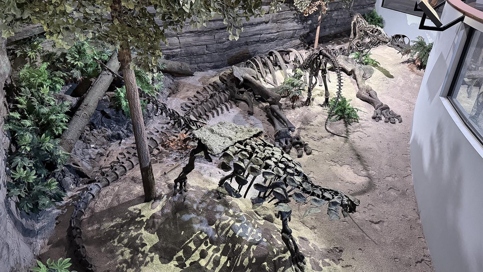 Replicas of a Camarasaurus, Gargoyleosaurus, and juvenile Ceratosaurus in the Museum of Ancient Life at Lehi, Utah. The original specimens were all discovered in Wyoming's Bone Cabin Quarry by Thomas Lindgren and Jeffrey Parker, the same team unearthing the share-selling Stegosaurus that could sell for millions of dollars.