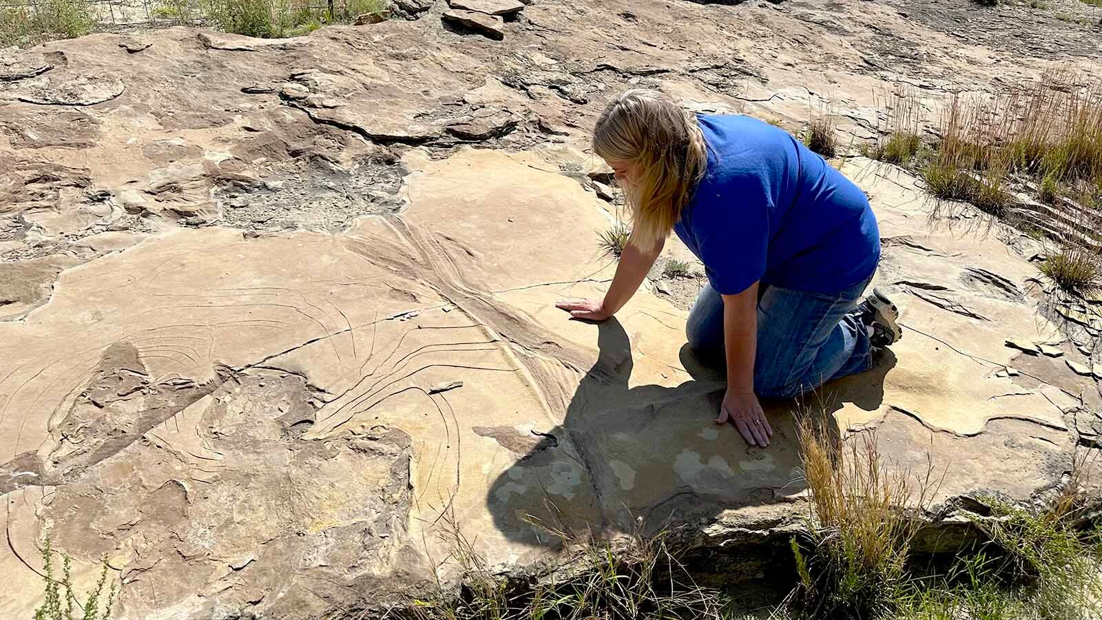 Kristen Stauffer on the one-of-a-kind Zerbst Trackway on the Zerbst "Paleo Park" Ranch near Newcastle. Stauffer has been taking tours to the track site, found by her father Leonard, for years. That's why she was "shell-shocked" that someone trespassed on and damaged a rare hadrosaur footprint.