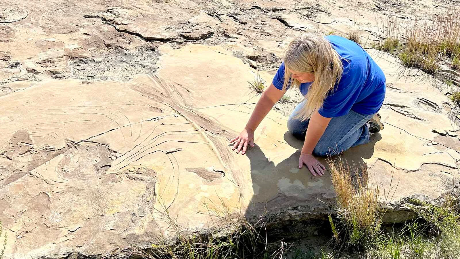 Kristen Stauffer on the one-of-a-kind Zerbst Trackway on the Zerbst "Paleo Park" Ranch near Newcastle. Stauffer has been taking tours to the track site, found by her father Leonard, for years. That's why she was "shell-shocked" that someone trespassed on and damaged a rare hadrosaur footprint.