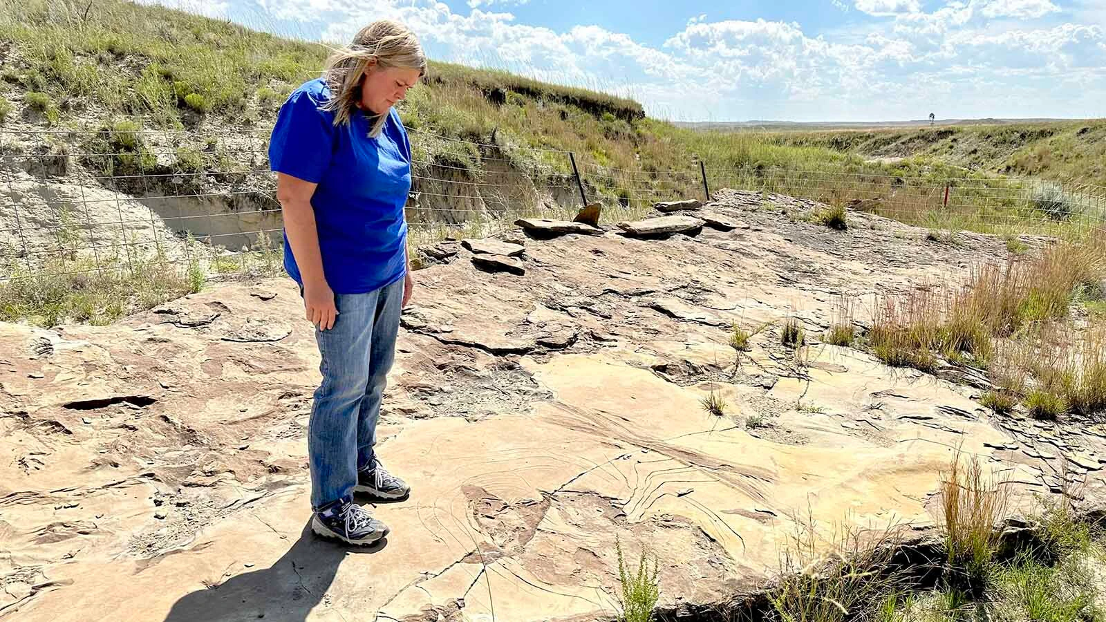 Kristen Stauffer on the one-of-a-kind Zerbst Trackway on the Zerbst "Paleo Park" Ranch near Newcastle. Stauffer has been taking tours to the track site, found by her father Leonard, for years. That's why she was "shell-shocked" that someone trespassed on and damaged a rare hadrosaur footprint.