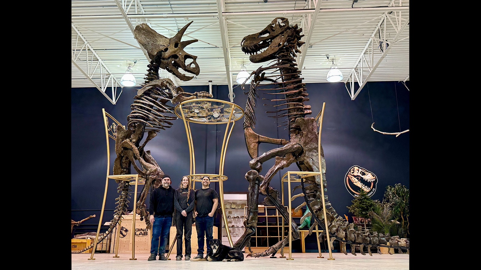 When they roamed the earth, Tyrannosaurs and Triceratops would’ve been mortal enemies. But millions of years later at an international museum in Canada, they’re working out their differences over their own larger-than-life tea party. Here the full display with Ry, Nate and Lina Williams, and Ry's dog Snoopy.