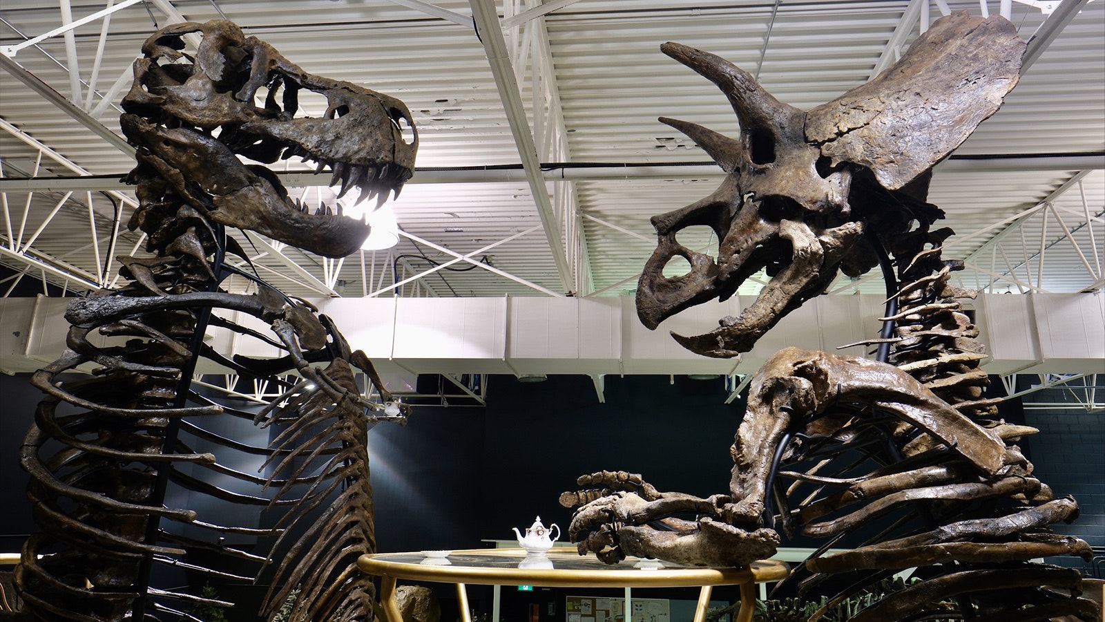 When they roamed the earth, Tyrannosaurs and Triceratops would’ve been mortal enemies. But millions of years later at an international museum in Canada, they’re working out their differences over their own larger-than-life tea party.