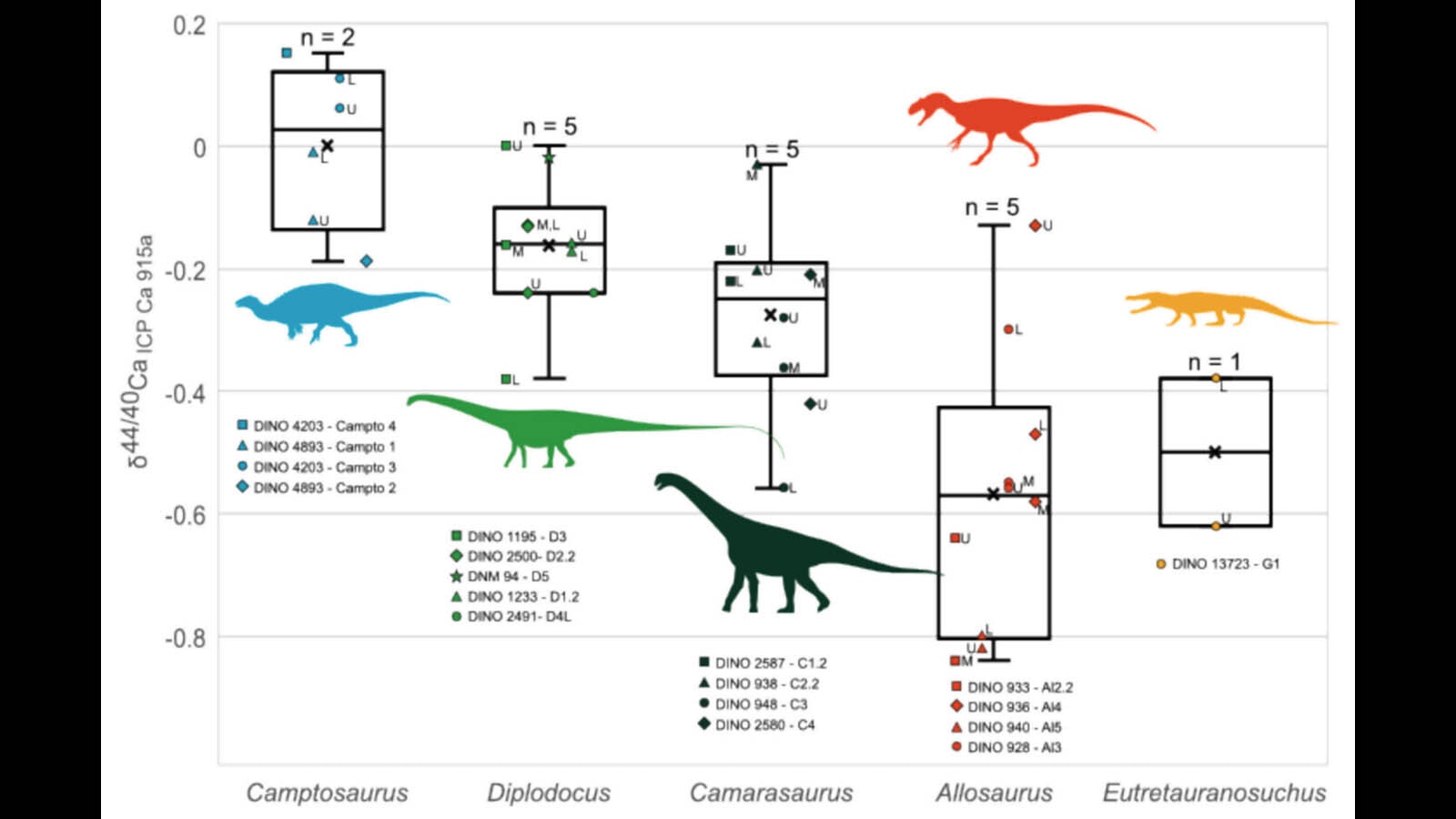 A graphic of the calcium isotope analysis of four Late Jurassic dinosaurs and a contemporaneous crocodilian found at Dinosaur National Monument. The ratio of lighter and heavier calcium isotopes reveals the diets of these different animals, how they fed, and whether they competed with each other over food sources