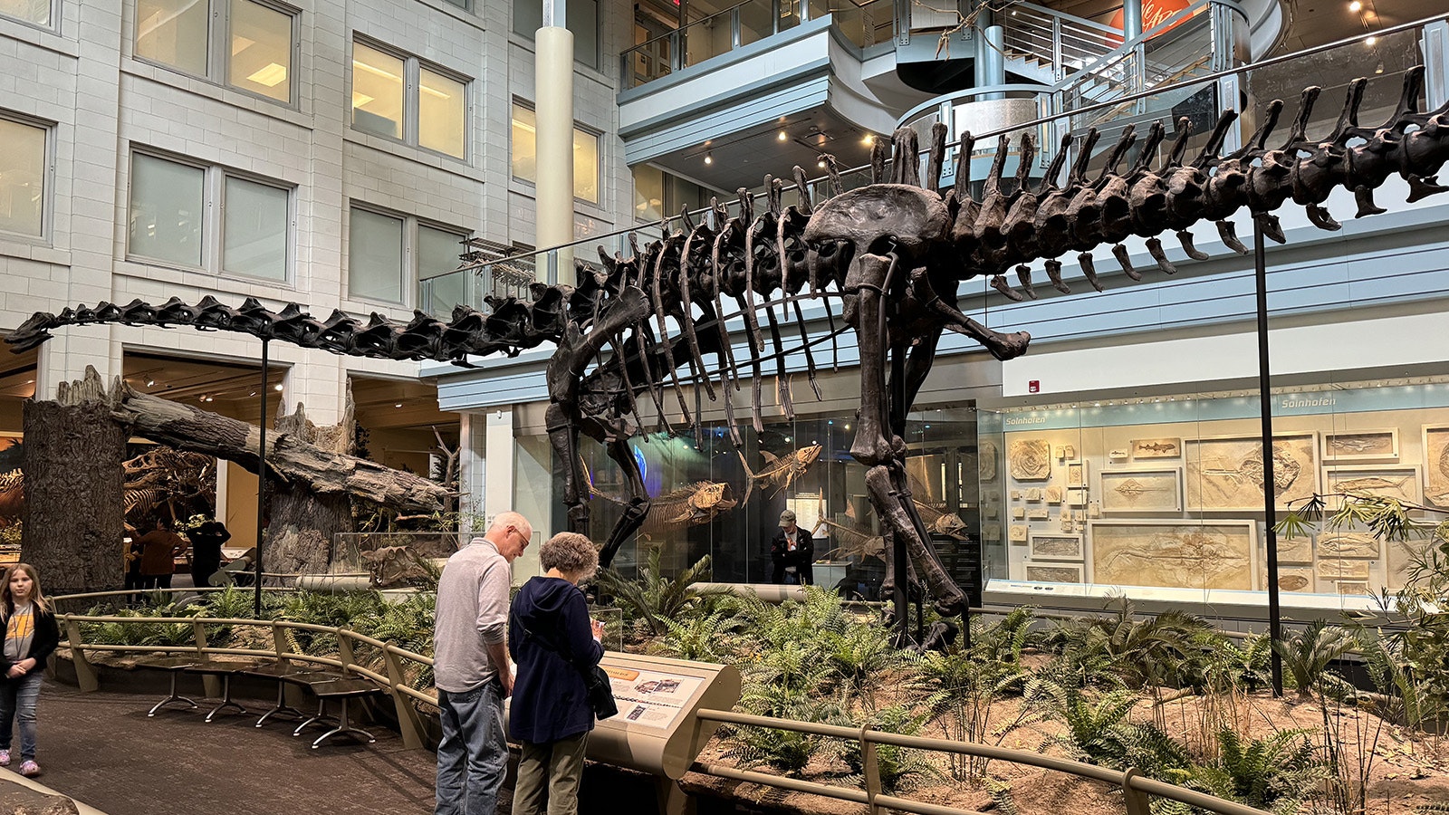 Visitors admire the skeleton of Diplodocus carnegii in Pittsburgh. Replicas of "Carnegie's Dinosaur" were so numerous and widely distributed throughout the world that this Wyoming dinosaur has been seen by millions of people, making it one of the most iconic dinosaur skeletons ever found.