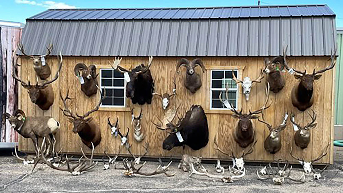 cowboystatedaily.com
