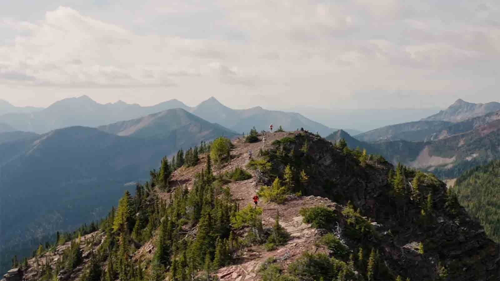 Ultramarathon trail runners in Alberta, Canada, had to be re-routed late Sunday after a grizzly charged and followed nearby campers. A Wyoming ultramarathoner says racers should carry bear spray in grizzly country.