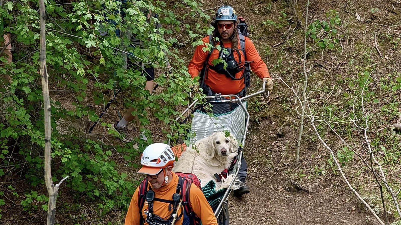 A Park County, Colorado, search and rescue team went 11 miles and spent 10 hours rescuing a dog that was overcome with exhaustion during a hike on June 24. Wyoming search and rescue teams aren’t willing to do that, you’d have to carry your dog out yourself here.