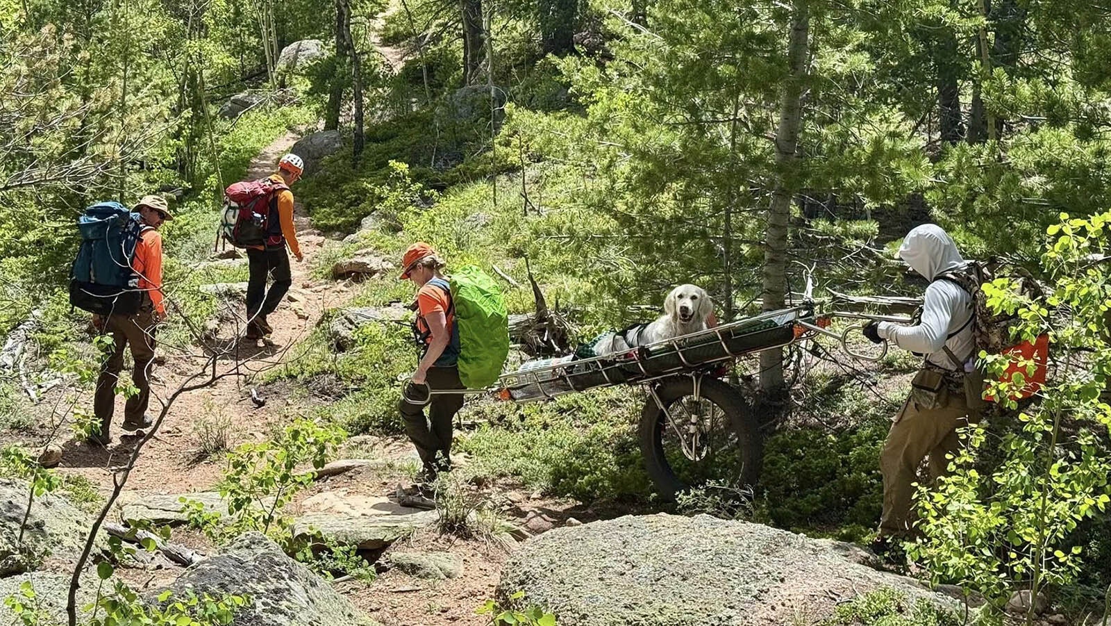 A Park County, Colorado, search and rescue team went 11 miles and spent 10 hours rescuing a dog that was overcome with exhaustion during a hike on June 24. Wyoming search and rescue teams aren’t willing to do that, you’d have to carry your dog out yourself here.
