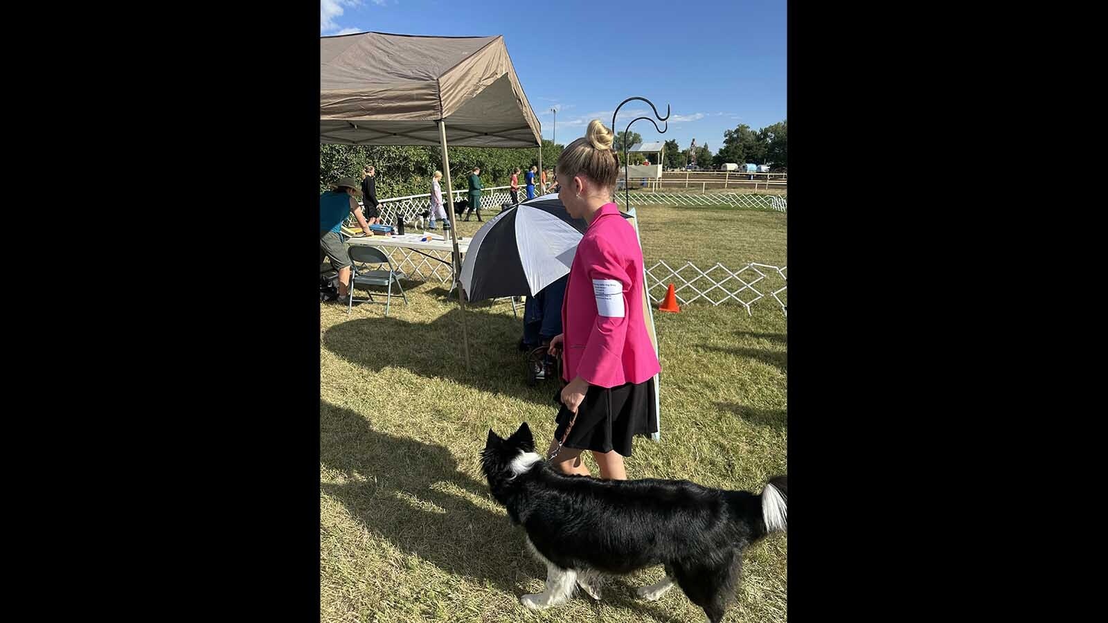 More than 120 kids and their dogs competed in the 4-H Dog Show and Showmanship on Tuesday to help kick off the 120th Wyoming State Fair. Participants say it can be a family affair, with everyone pitching in to make sure the show is a success.