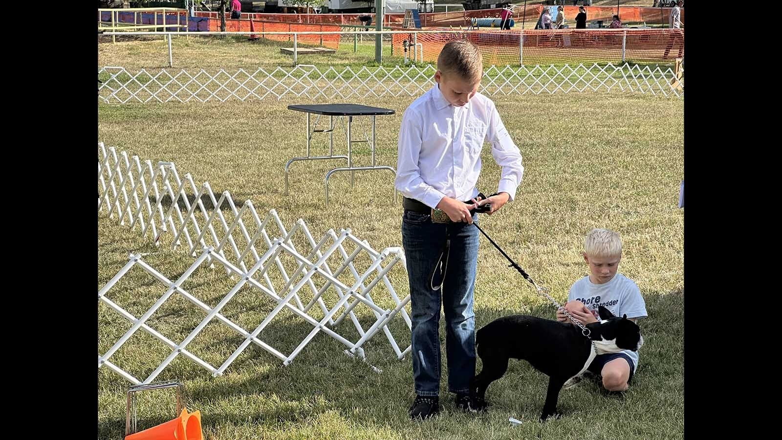 More than 120 kids and their dogs competed in the 4-H Dog Show and Showmanship on Tuesday to help kick off the 120th Wyoming State Fair. Participants say it can be a family affair, with everyone pitching in to make sure the show is a success.