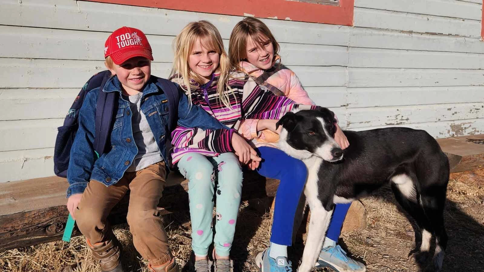 The Penn family with Drover, a border collie who they found dead from a bullet wound on Sunday. Nate Penn said the family dog, who was collared and "never bothered anybody," was shot on another property and made it home before dying.