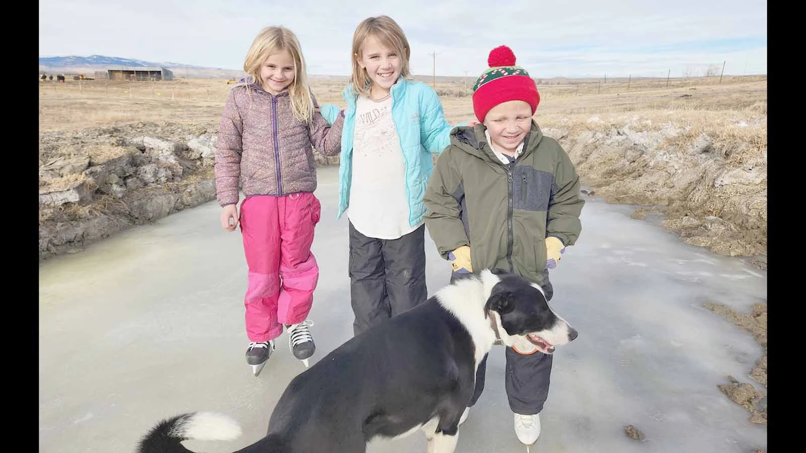 The Penn family with Drover, a border collie who they found dead from a bullet wound on Sunday. Nate Penn said the family dog, who was collared and "never bothered anybody," was shot on another property and made it home before dying.