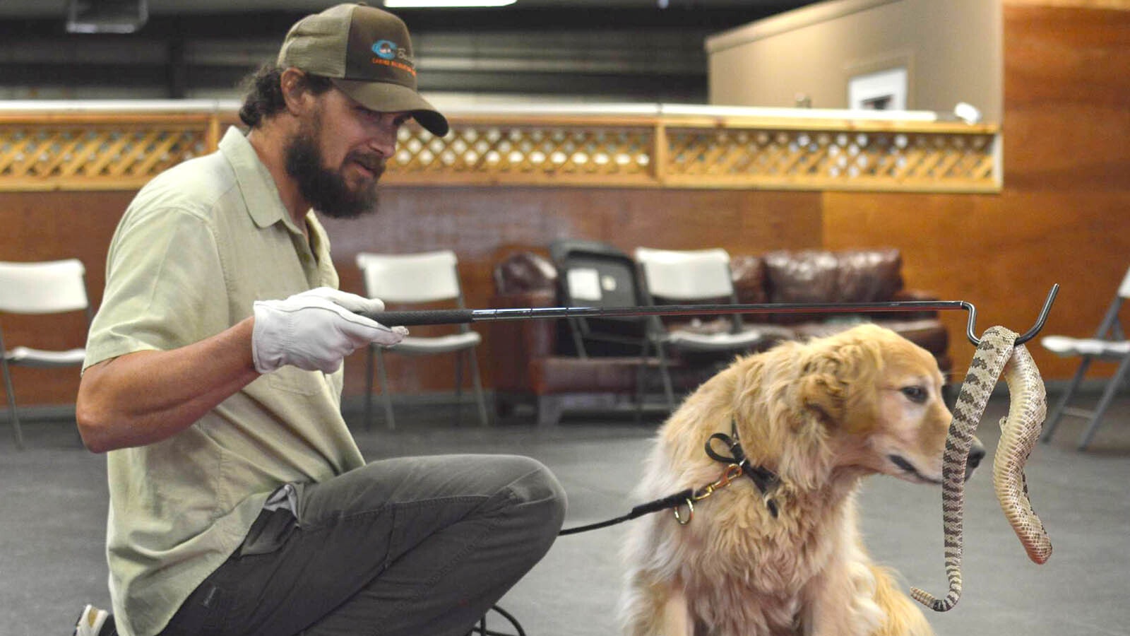 Mike Parsley teaches dogs to recognize and avoid danger, like rattlesnakes. After hearing the story of a Wyoming dog caught in a beaver trap, he developed a course specifically for dogs to avoid them.