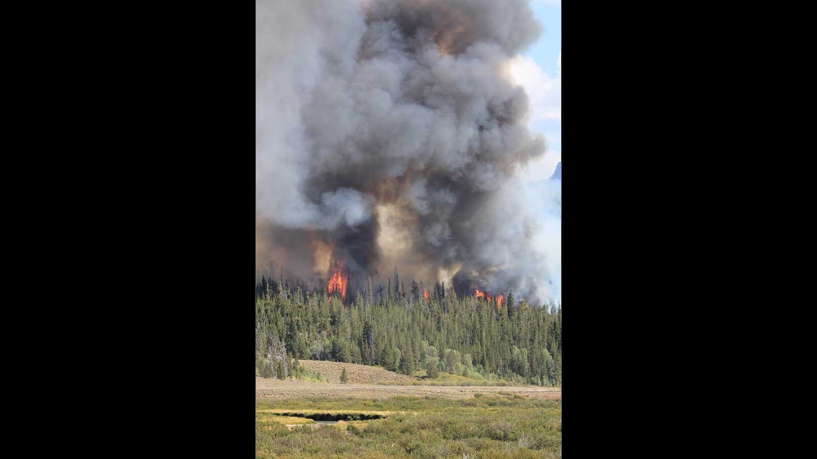 The Dollar Lake Fire blew up from about 20-30 acres the afternoon of Thursday, Aug. 21, 2025, to nearly 1,400 by the next morning. It's burning on the east side of the Green River near Dollar Lake, and about 5.5 miles west of Square Top Mountain.