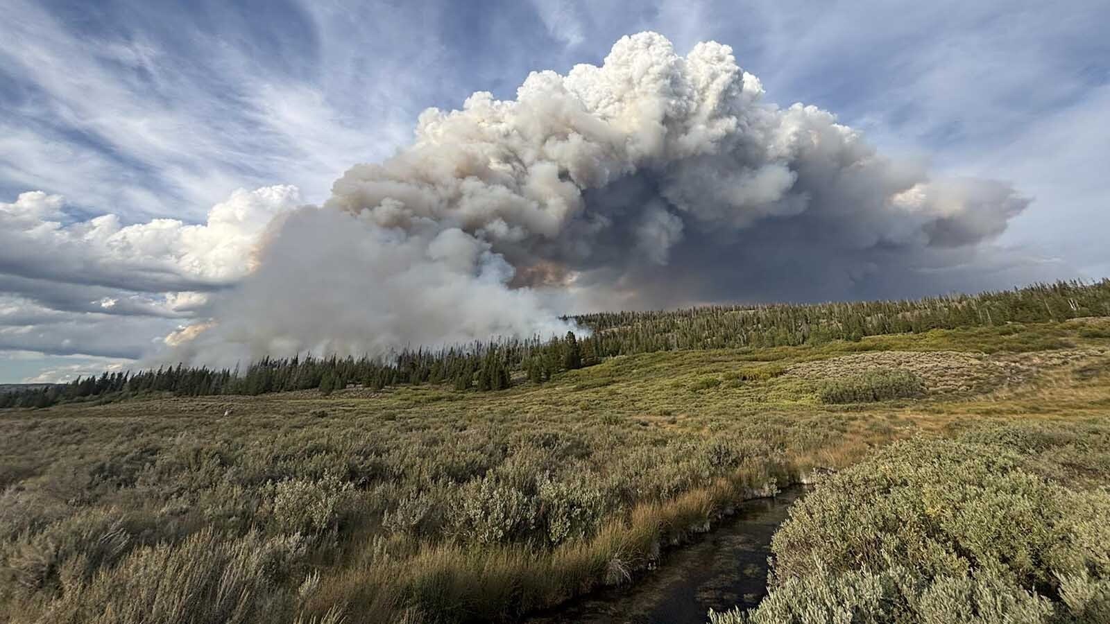 All homes and campsites within a 5-mile radius of the volatile Dollar Lake Fire in Sublette County have been evacuated as the blaze continues to spread out of control along the eastern side of the Green River.