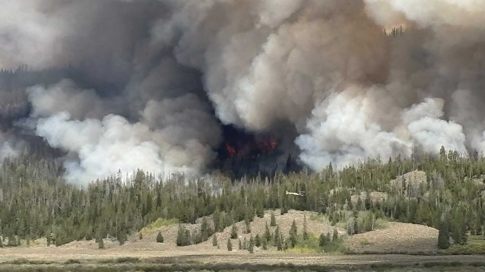 The Dollar Lake Fire blew up from about 20-30 acres the afternoon of Thursday, Aug. 21, 2025, to nearly 1,400 by the next morning. It's burning on the east side of the Green River near Dollar Lake, and about 5.5 miles west of Square Top Mountain.