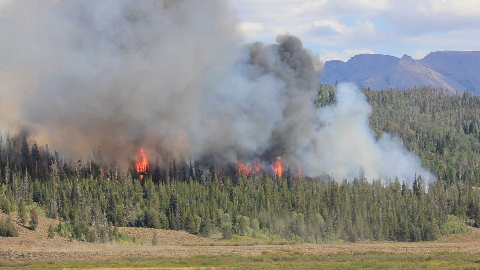 The Dollar Lake Fire blew up from about 20-30 acres the afternoon of Thursday, Aug. 21, 2025, to nearly 1,400 by the next morning. It's burning on the east side of the Green River near Dollar Lake, and about 5.5 miles west of Square Top Mountain.