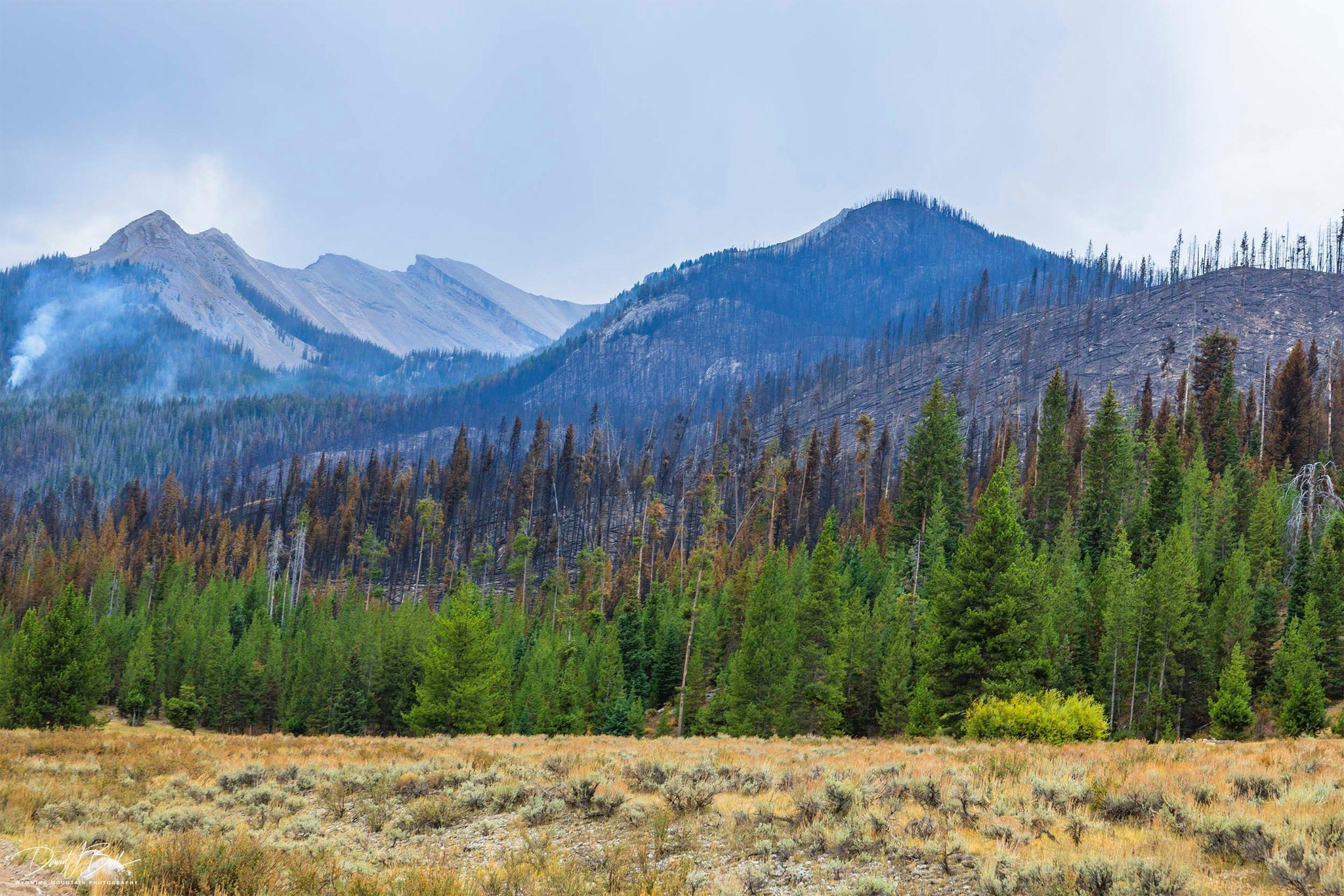 Pinedale photographer David Bell got a look at what the Dollar Lake Fire has done to the famous view of Squaretop and said there’s a “mosaic” of black. He said it’ll “never be the same,” but firefighters have saved it from becoming a “hellscape.”
