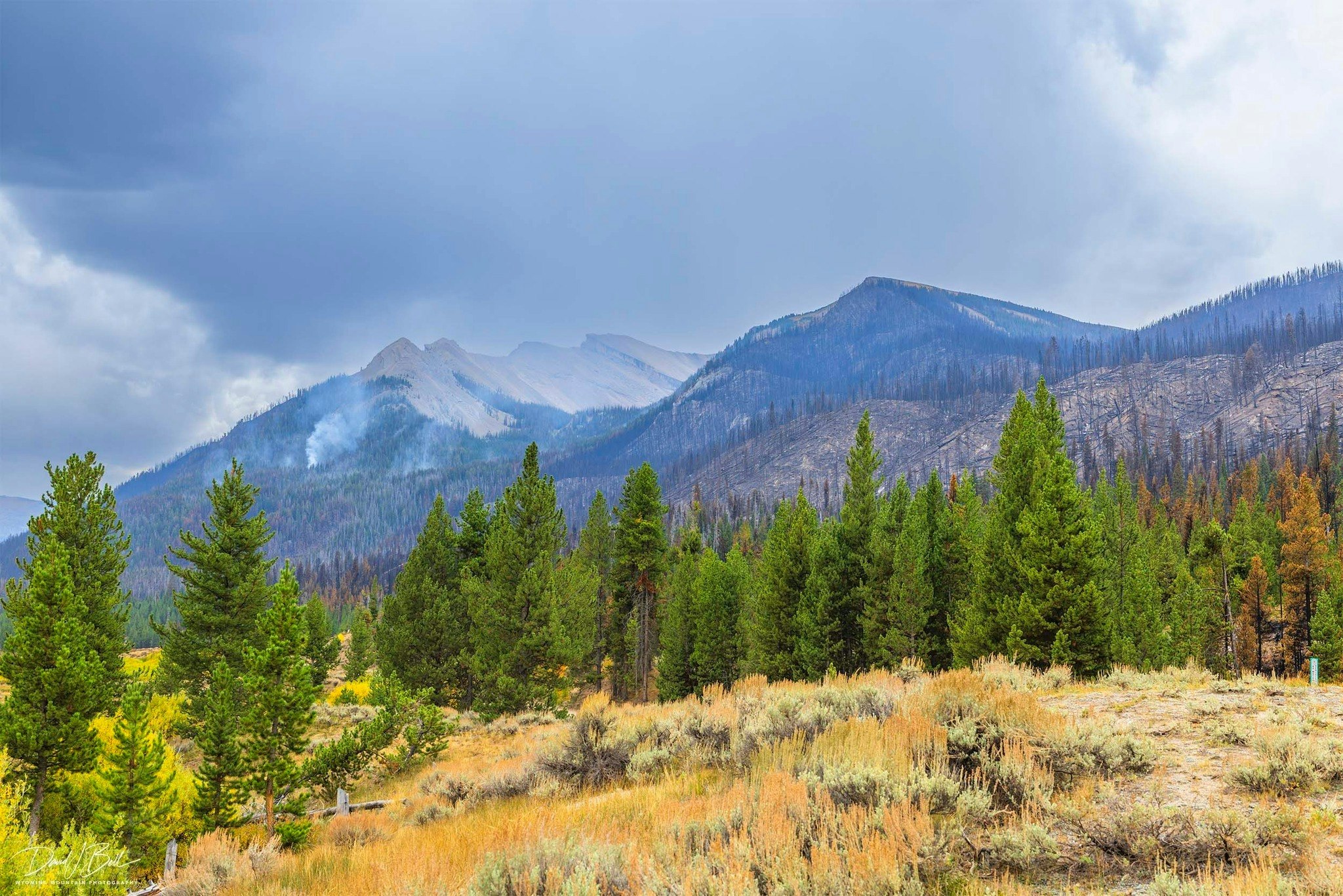 Pinedale photographer David Bell got a look at what the Dollar Lake Fire has done to the famous view of Squaretop and said there’s a “mosaic” of black. He said it’ll “never be the same,” but firefighters have saved it from becoming a “hellscape.”
