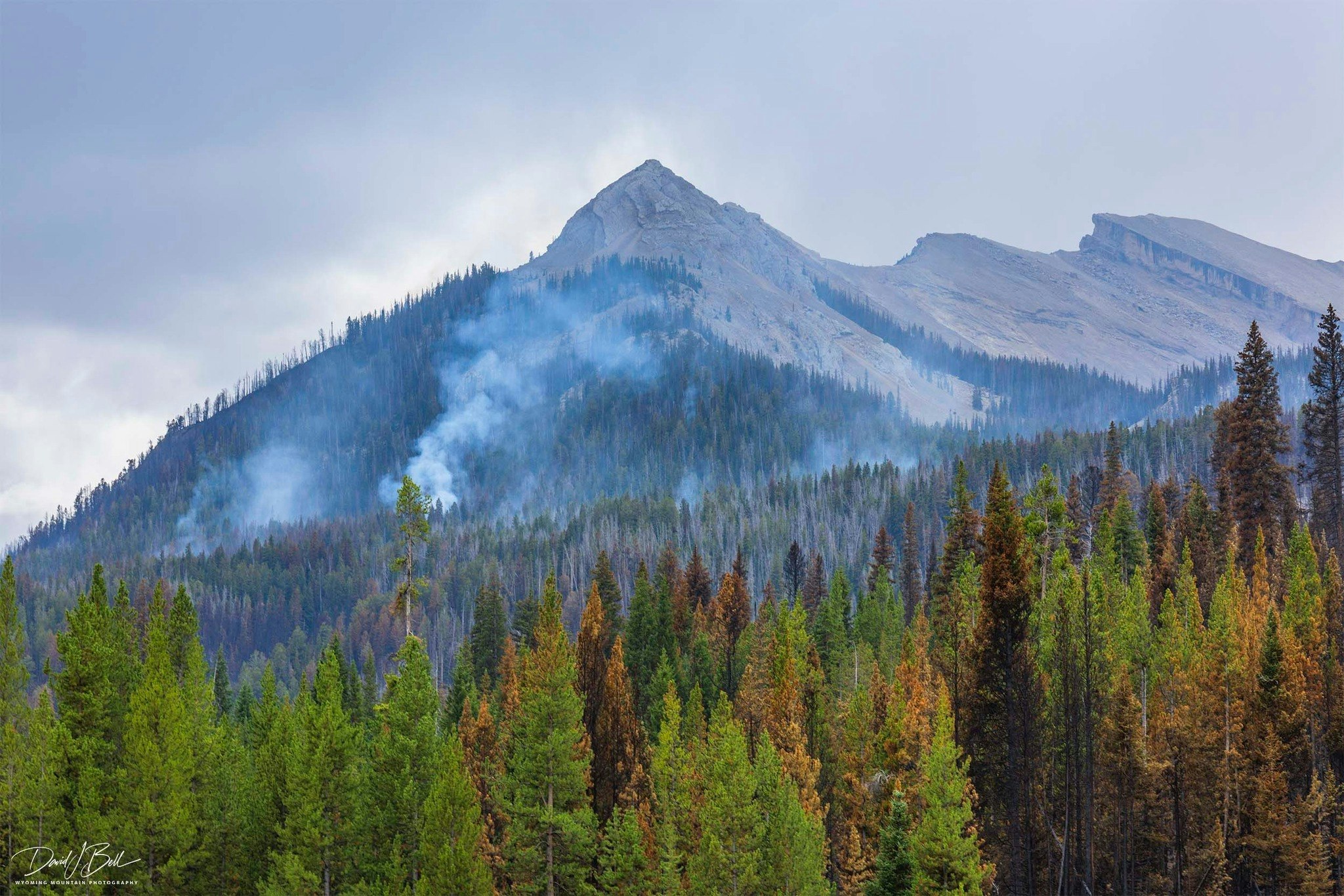 Pinedale photographer David Bell got a look at what the Dollar Lake Fire has done to the famous view of Squaretop and said there’s a “mosaic” of black. He said it’ll “never be the same,” but firefighters have saved it from becoming a “hellscape.”