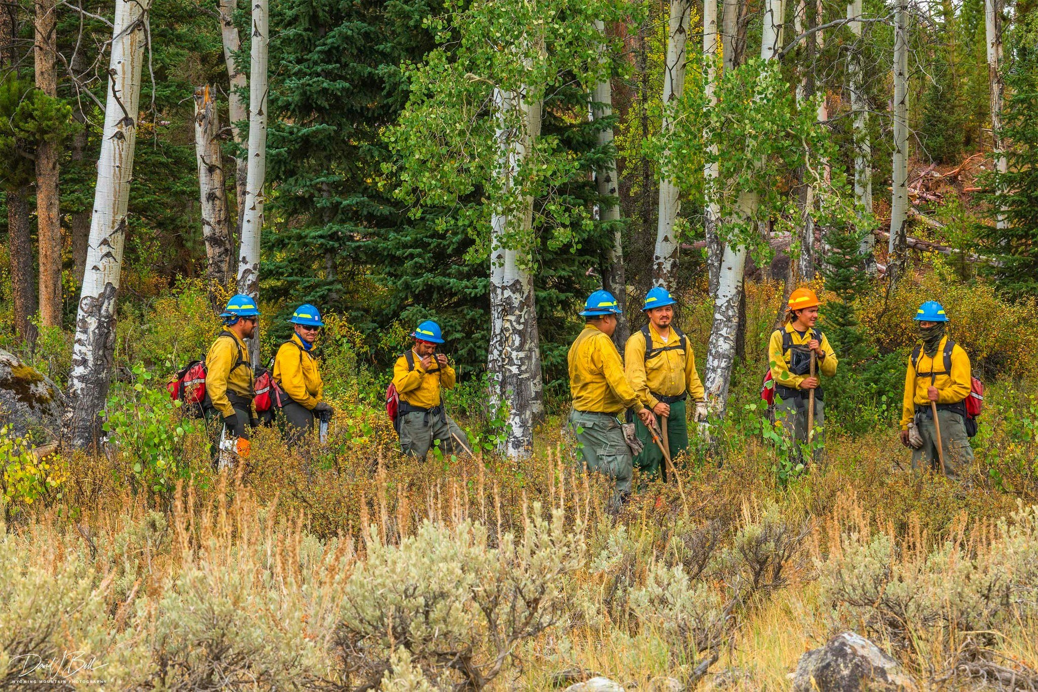 Pinedale photographer David Bell got a look at what the Dollar Lake Fire has done to the famous view of Squaretop and said there’s a “mosaic” of black. He said it’ll “never be the same,” but firefighters have saved it from becoming a “hellscape.”