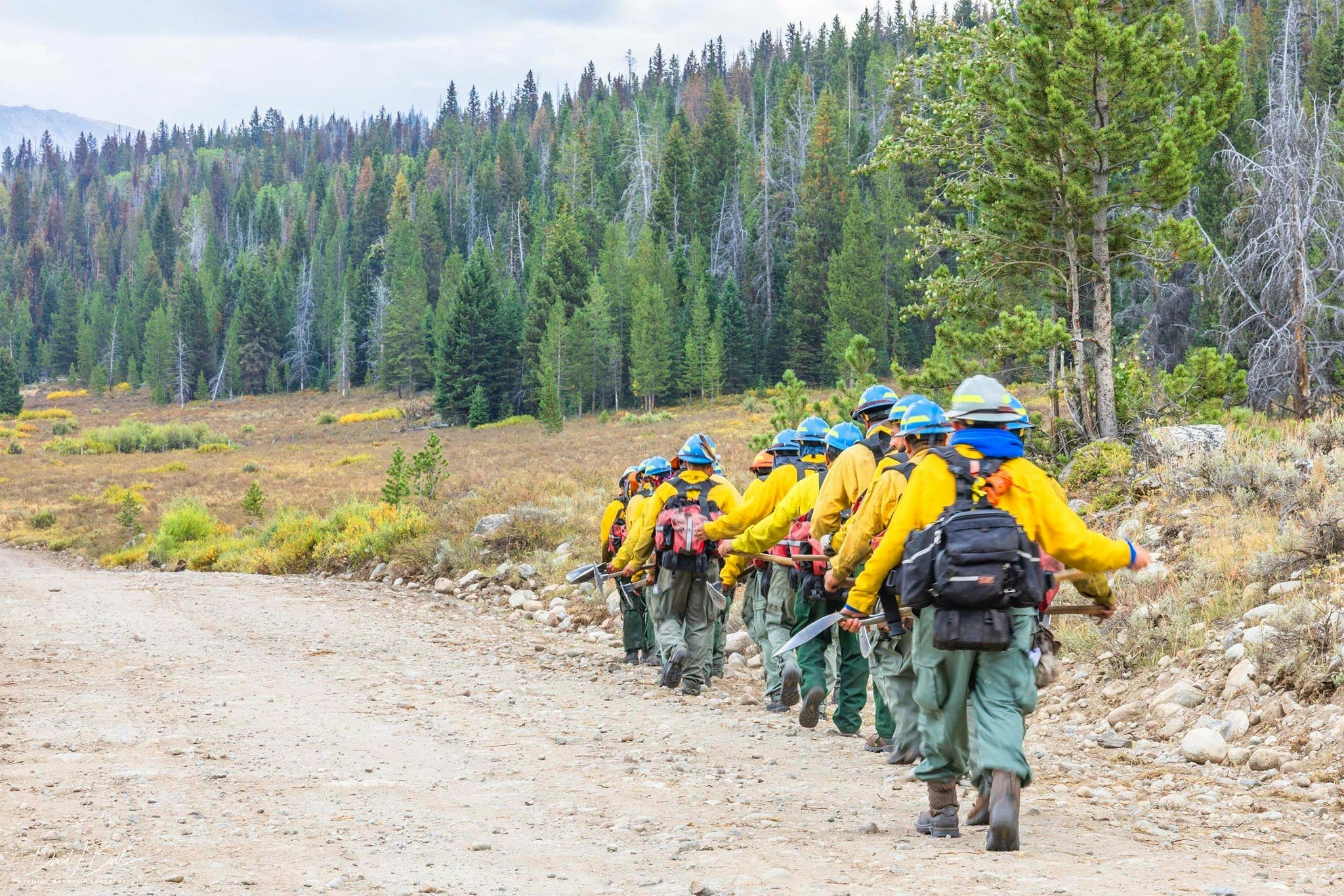 Pinedale photographer David Bell got a look at what the Dollar Lake Fire has done to the famous view of Squaretop and said there’s a “mosaic” of black. He said it’ll “never be the same,” but firefighters have saved it from becoming a “hellscape.”