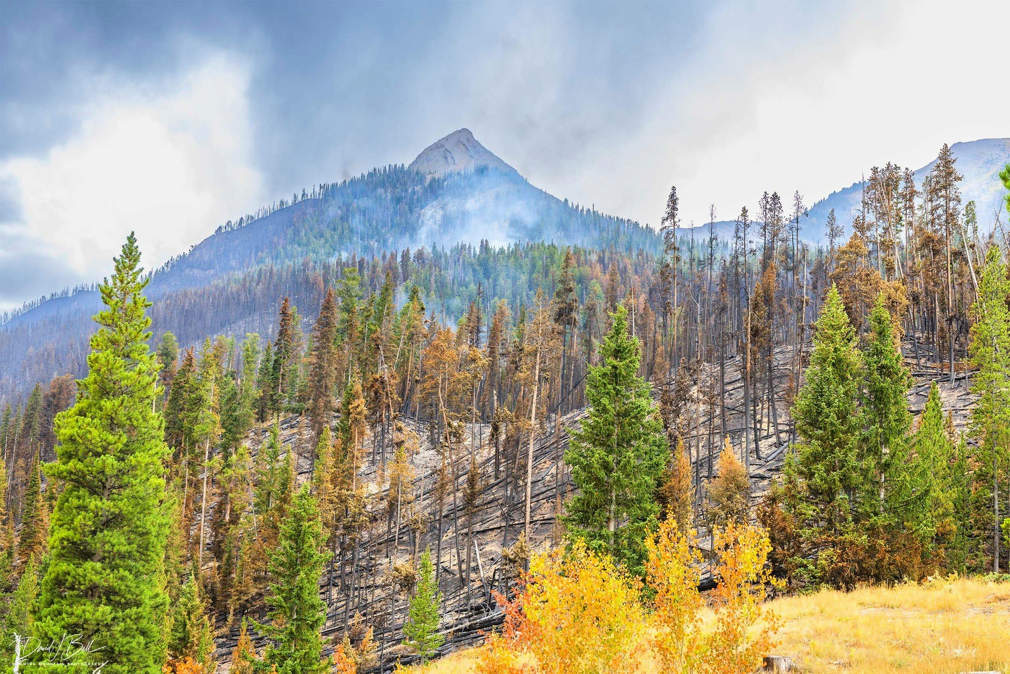 Pinedale photographer David Bell got a look at what the Dollar Lake Fire has done to the famous view of Squaretop and said there’s a “mosaic” of black. He said it’ll “never be the same,” but firefighters have saved it from becoming a “hellscape.”