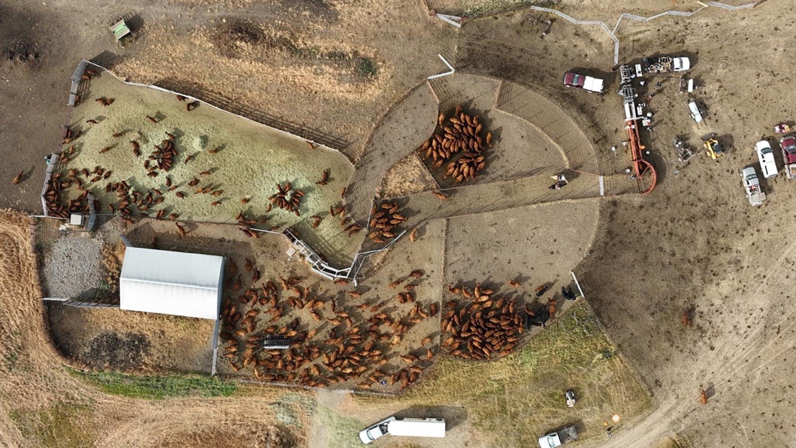 Dale and Janet Veseth of Phillips County, Montana, made history recently by donating their $21.6 million ranch to a nonprofit they helped found in the name of preserving family ranching on the great northern plains.