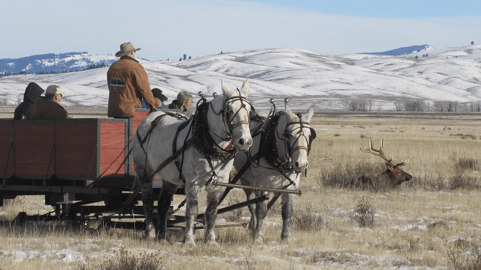 Double H Bar has been the contractor offering sleigh rides on the refuge since 2007.