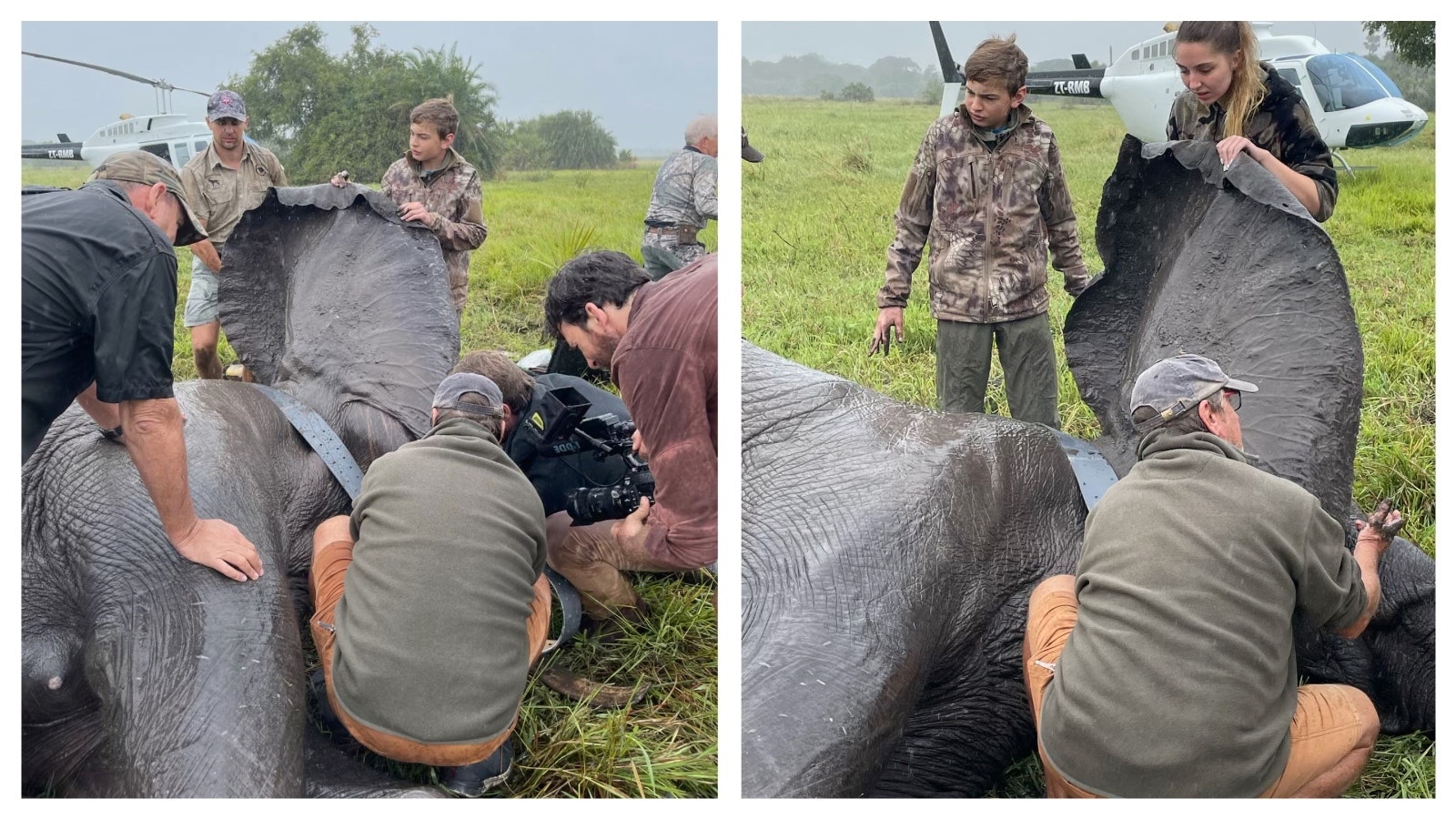 Doug Samuelson (second from left) remains involved with lion and elephant conservation work through the Ivan Carter Wildlife Conservation Alliance. The others in the photo with the elephant, from left, are biologist Willem Briers-Louw, helicopter pilot Peter Perlstein, veterinarian Joao Almeida and landowner Mark Haldane.