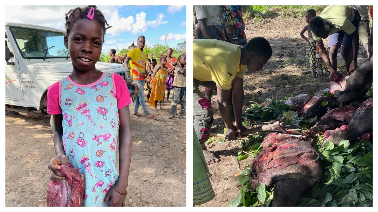 To reduce demand for poached bush meat, anti-poaching tactics include providing access to sustainably harvested proteins.