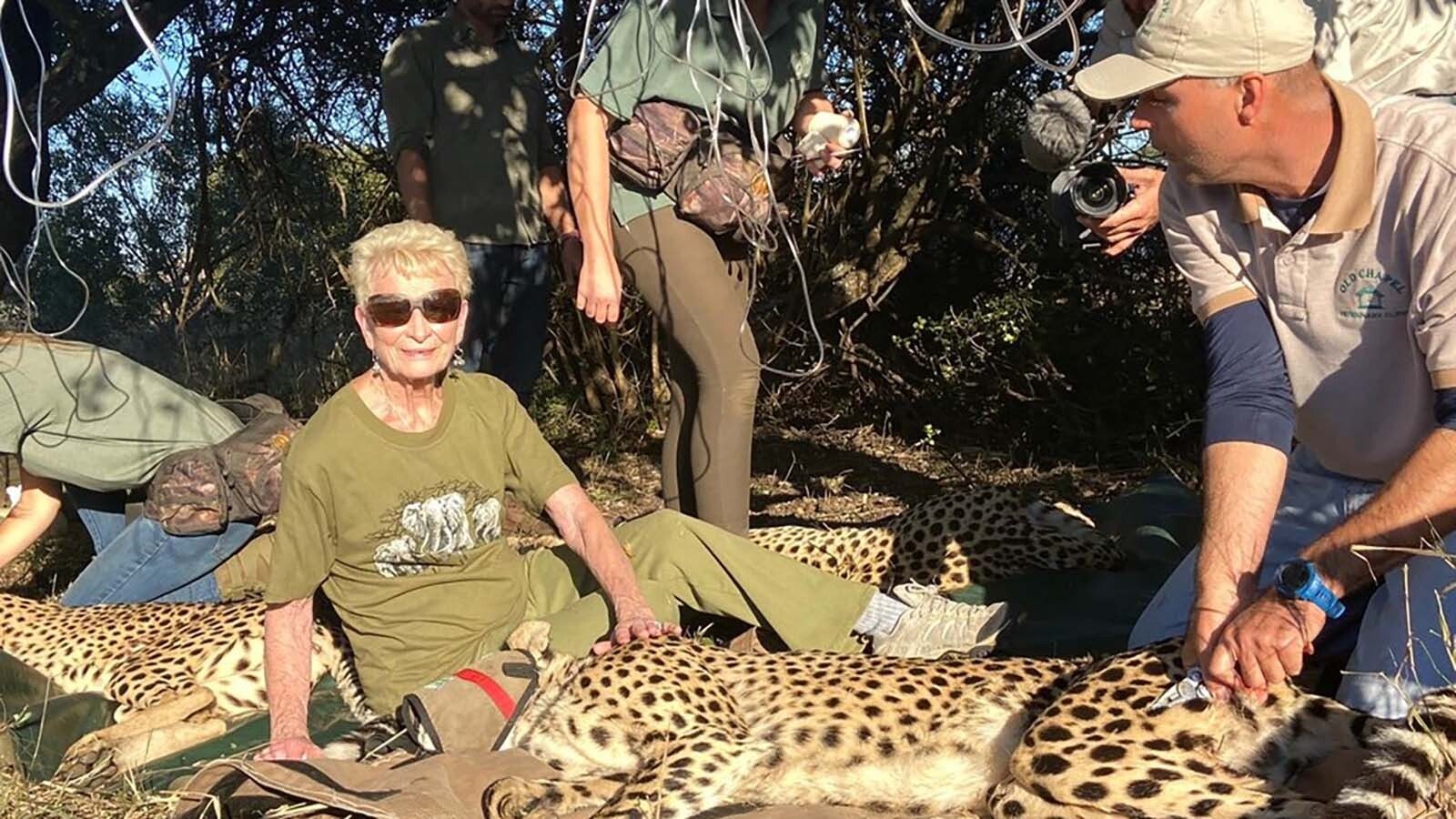 Casper native Mary Cabela and the Cabela Family Foundation supported a coalition effort to repopulate lions and cheetahs in the Zambezi Delta of Mozambique. Cabela passed away on May 30, 2023, at the age of 86. She was a co-founder of the outdoor retail company Cabela's.
