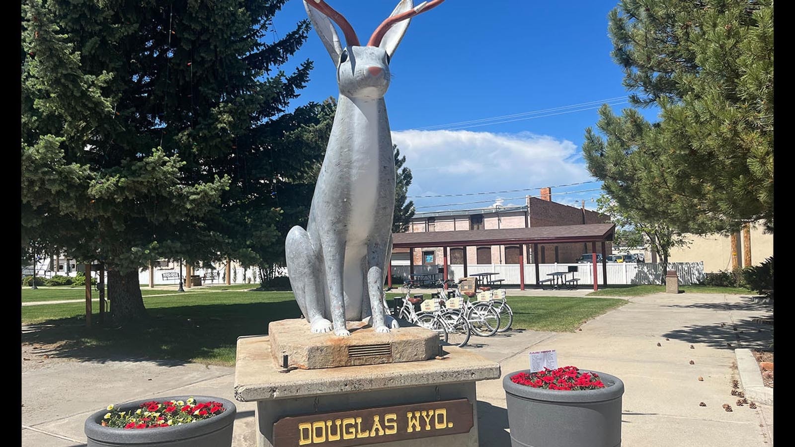 Douglas Jackalopes 12 27 24