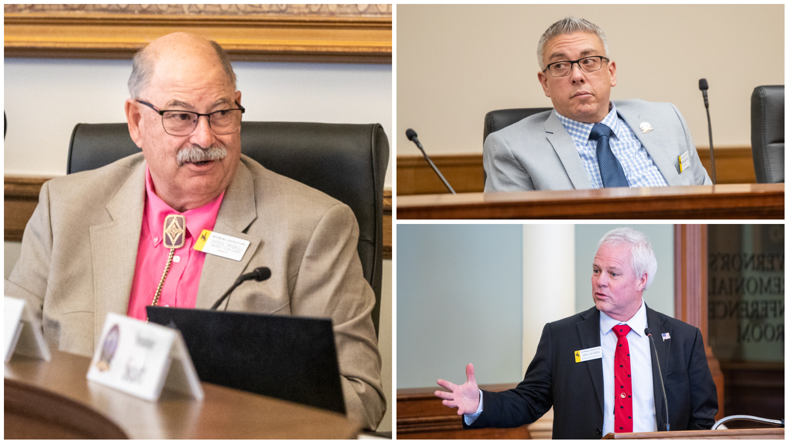 Driskill Reappoints Bouchard, Snubs Laursen As Wyo Senate Committee