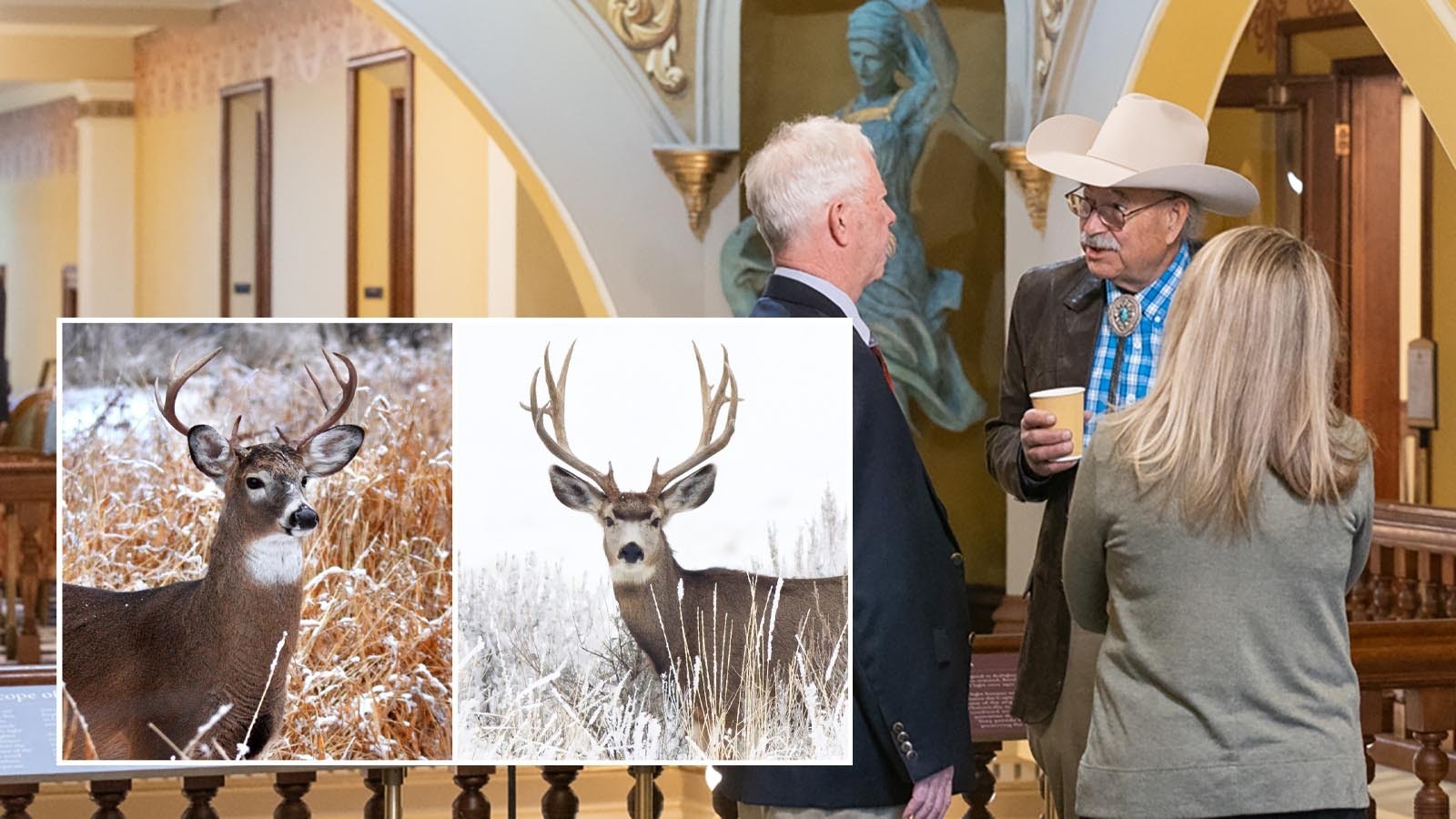 State Sen. Ogden Driskill, R-Devils Tower, in hat, testified Tuesday in favor of a bill that would split whitetail and mule deer hunting seasons in Wyoming.