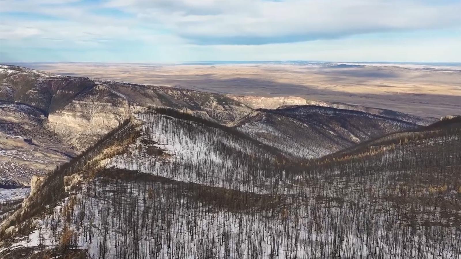 Wyoming photographer recently flew a drone over an area burned by the Elk Fire, Steamboat Rock and the Turkey Creek area of Tongue River Canyon. "The change is dramatic, stark, devastating," Doolin said in a post showing video of the area.