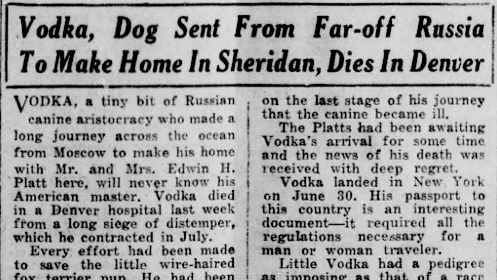 The Sheridan Press reported on Sept. 19, 1933, about the sad story of a dog named Vodka.