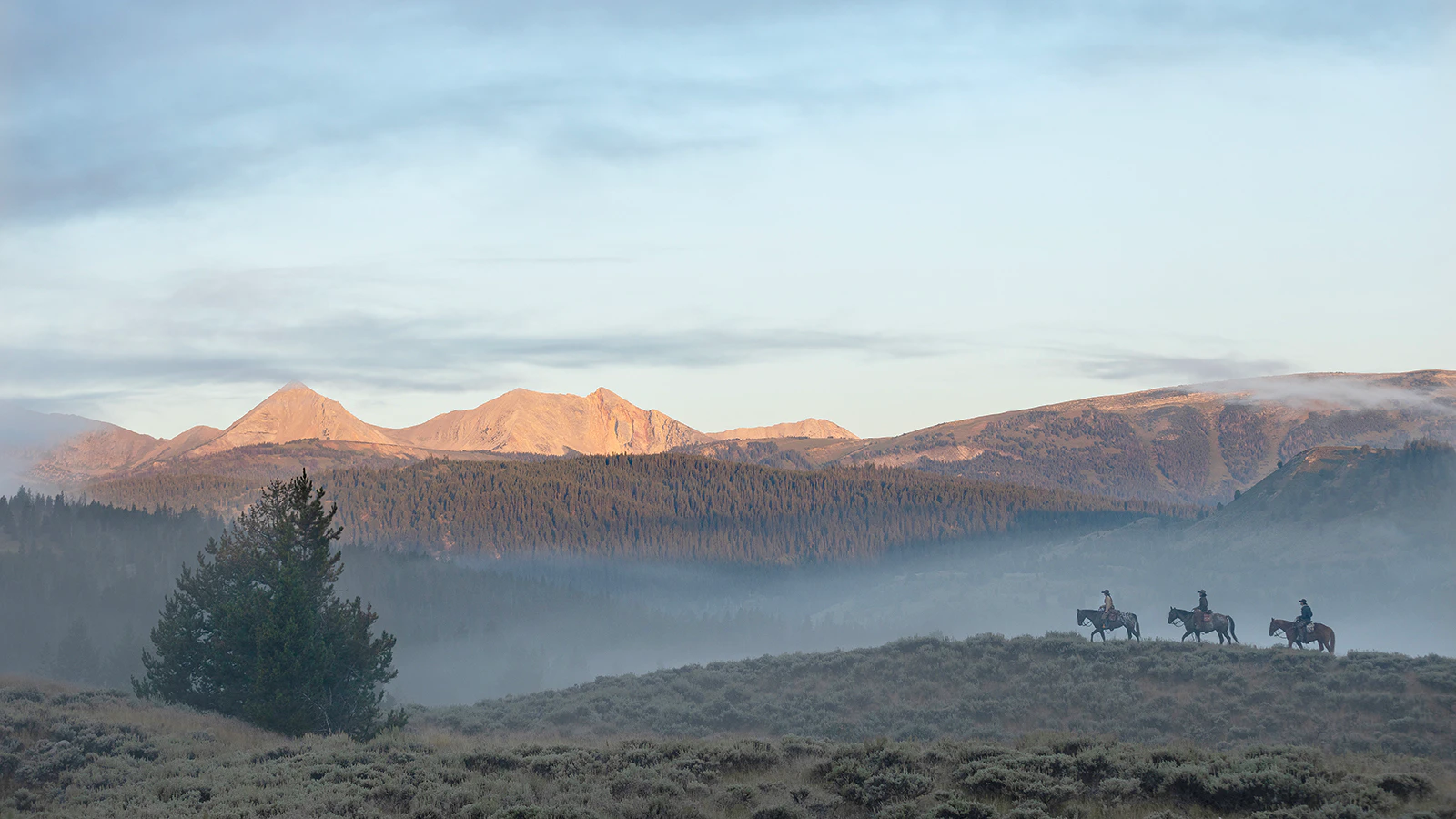 Wyoming has 13 100-year-old dude raches, half of the 26 centennial dude ranches in the West. That's one of the things the team behind the new book "100 Years of Dude Ranching" learned in documenting the industry's century of Western hospitality. Above is a scene from the Nine Quarter Circle Ranch.