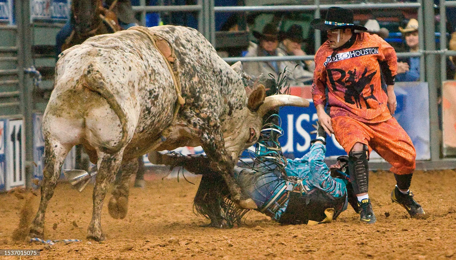 Douglas Duncan is thrown and then charged by a bull named Johnny Ho as bullfighter Dusty Tuckness moves in to draw the bull away from the rider at the Houston Livestock Show and Rodeo on March 13, 2009, in Houston.