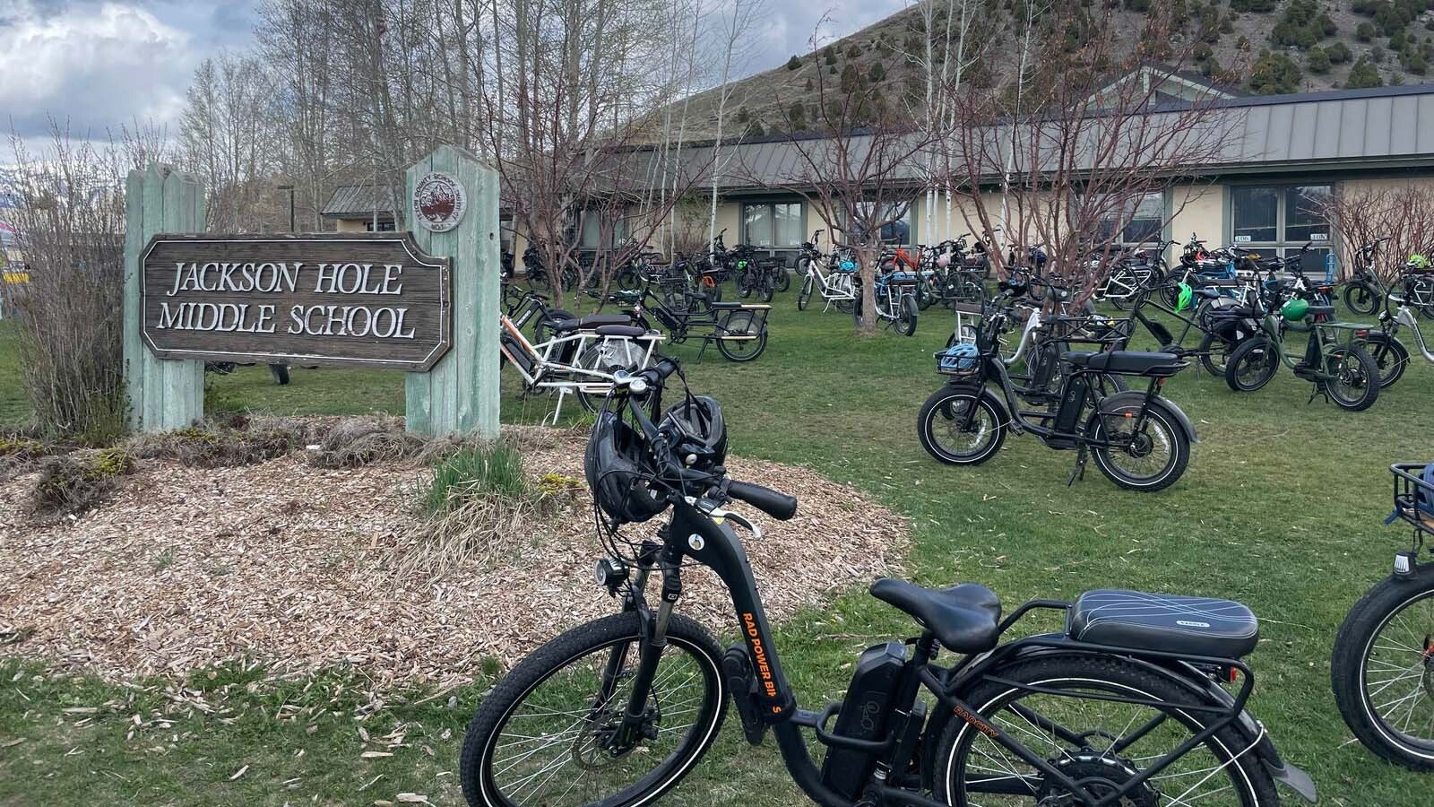 E Bikes JHMS e bikes on lawn 2 8 5 25